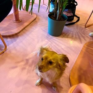 Meet your Posher, Brenda